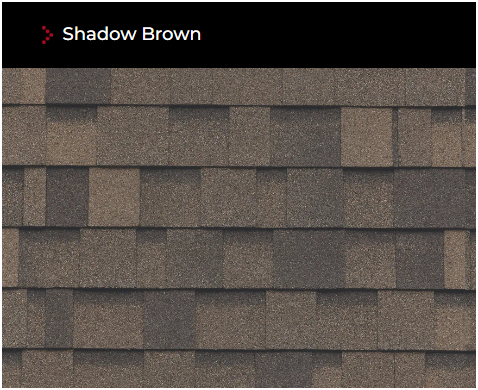 Shadow Brown